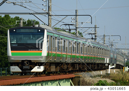 近郊型電車　E233系 43051665