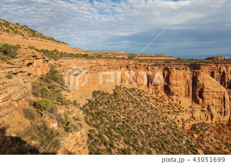 Colorado National Monument Landscape Colorado National Monument Landscape 43051699