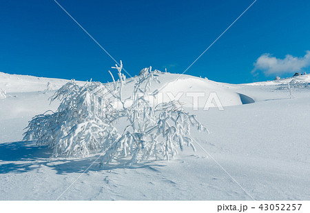 Winter mountain snowy landscape Winter mountain snowy landscape 43052257