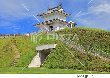 宇都宮城　清明台 43055585