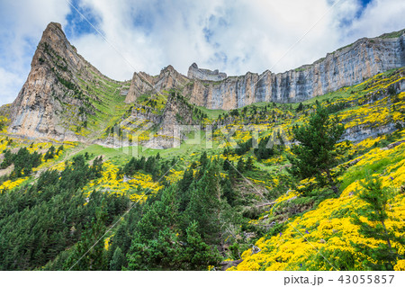 Beautiful landscape of famous Ordesa National Park 43055857