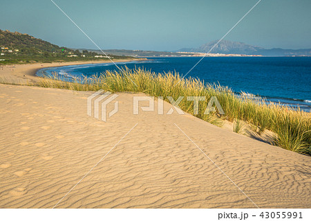 Dune of Punta Paloma, Tarifa, Andalusia, Spain 43055991