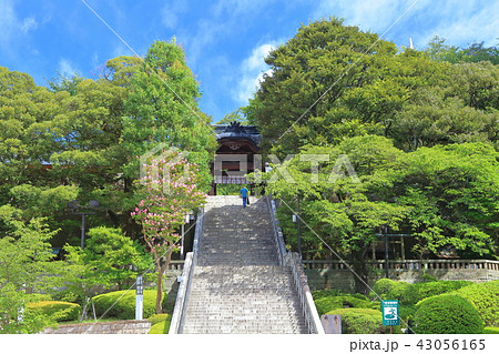 宇都宮二荒山神社　由緒坂 43056165