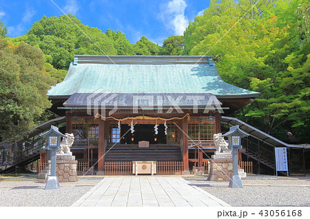 宇都宮二荒山神社 拝殿 宇都宮二荒山神社 拝殿 43056168