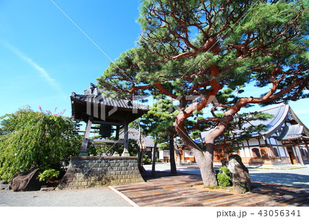 白隠禅師ゆかりのお寺（沼津　松陰寺） 43056341