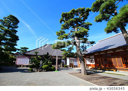 白隠禅師ゆかりのお寺（沼津　松陰寺） 43056345