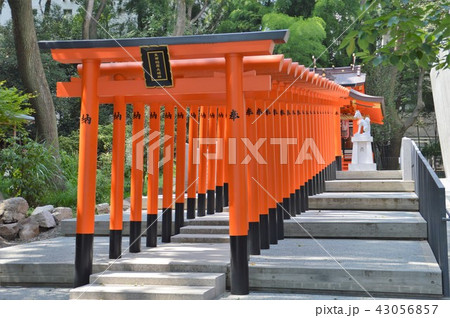 生田神社 生田神社 43056857