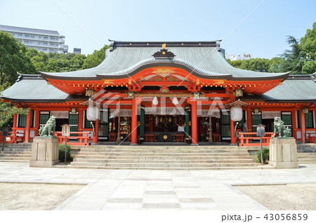 生田神社 43056859