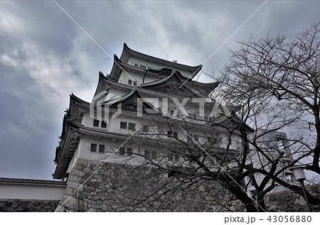 日本の文化と武士文化、名古屋城 43056880