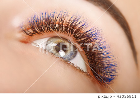 Eyelash Extension Procedure. Woman Eye with Long Blue Eyelashes. Ombre effect. Close up, selective 43056911