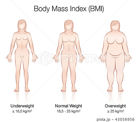 Body Mass Index BMI Female Body Thin Fat Normal Body Mass Index BMI Female Body Thin Fat Normal 43056956