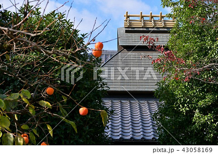 秋の丈山苑　詩泉閣 43058169