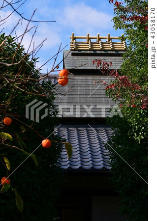 秋の丈山苑 詩泉閣 秋の丈山苑 詩泉閣 43058170