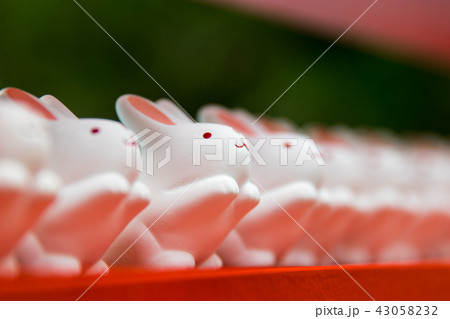 うさぎみくじ~岡崎神社~(京都府-京都市) うさぎみくじ~岡崎神社~(京都府-京都市) 43058232