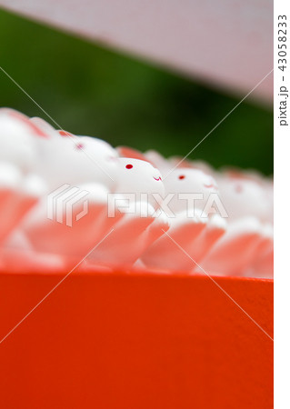 うさぎみくじ~岡崎神社~(京都府-京都市) うさぎみくじ~岡崎神社~(京都府-京都市) 43058233