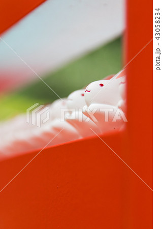うさぎみくじ~岡崎神社~(京都府-京都市) うさぎみくじ~岡崎神社~(京都府-京都市) 43058234