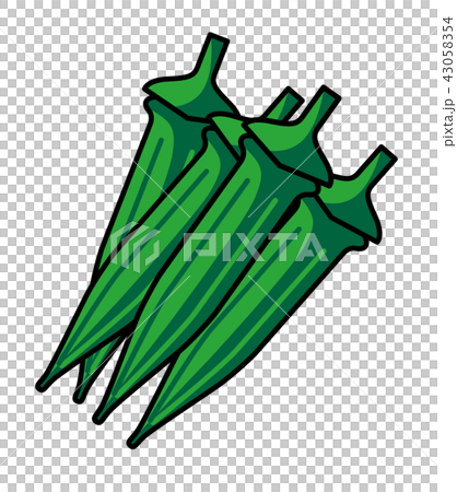 オクラのイラスト 43058354