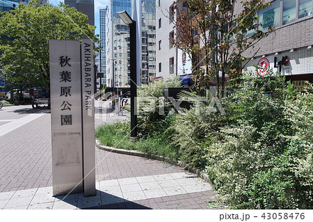 秋葉原駅前風景 43058476