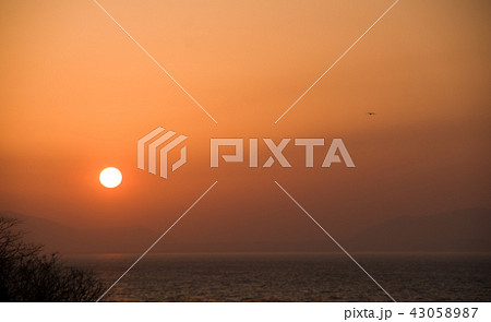 宍道湖の夕日(宍道湖ふれあいパークから) 宍道湖の夕日(宍道湖ふれあいパークから) 43058987
