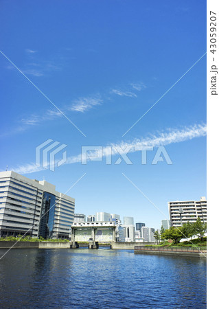 東品川水辺の風景 43059207