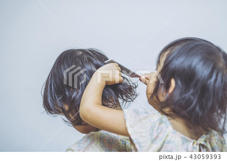 髪をとく双子の女の子 髪をとく双子の女の子 43059393