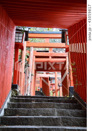 稲荷神社の鳥居 43059817