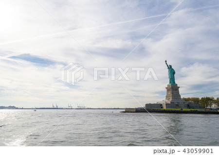 Statue of Liberty in NYC 43059901