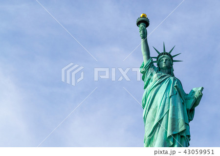 Statue of Liberty in NYC 43059951