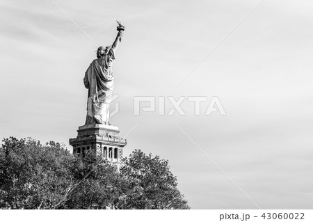 Statue of Liberty in NYC Statue of Liberty in NYC 43060022