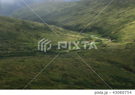 北アルプス雲ノ平　黒部川の源流の風景 43060754