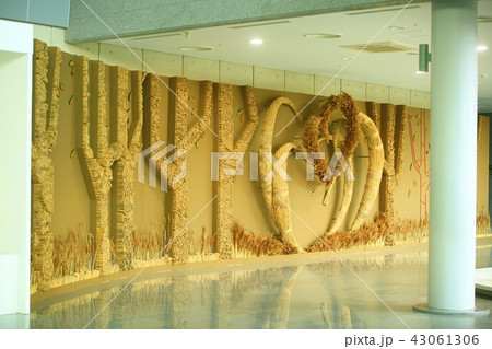 秋 作品 イベント 43061306