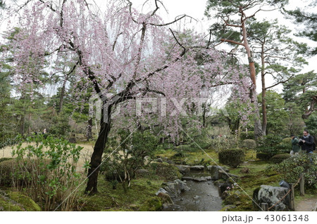 兼六園 43061348