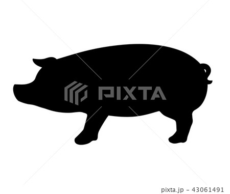 無料ダウンロード豚 イラスト 画像 最高の動物画像