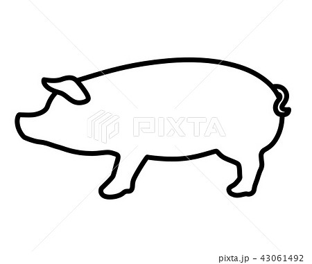 豚イラストのイラスト素材 43061492 Pixta