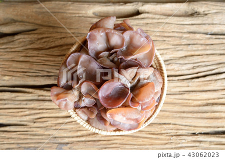 ear mushroom 43062023