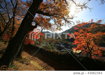 松広寺 節 寺院 43062363