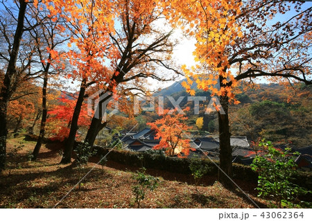 松広寺 節 寺院 43062364