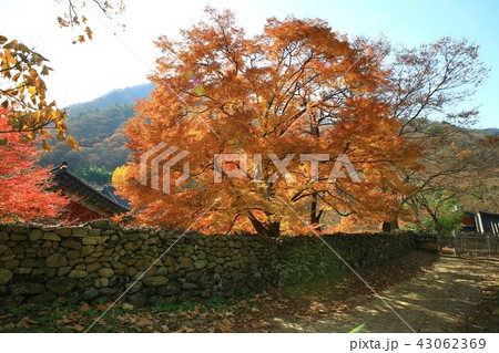 松広寺 節 寺院 43062369