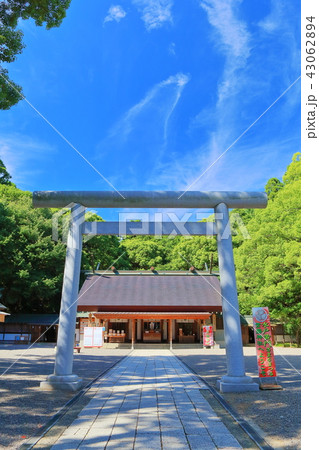 水戸の常磐神社 水戸の常磐神社 43062894