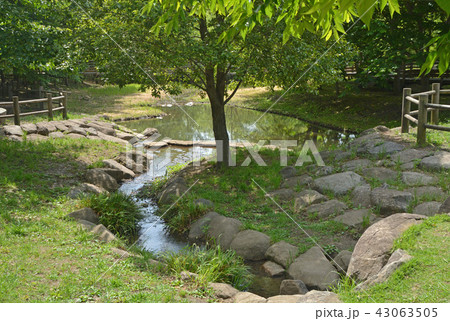 合併記念見沼公園　さいたま市大宮区 43063505