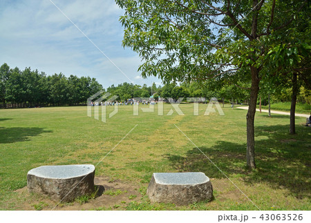 合併記念見沼公園 さいたま市大宮区 合併記念見沼公園 さいたま市大宮区 43063526