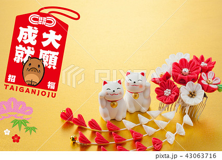 年賀状2019 43063716