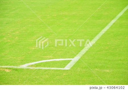 緑の天然芝が美しいサッカースタジアムの風景 43064102