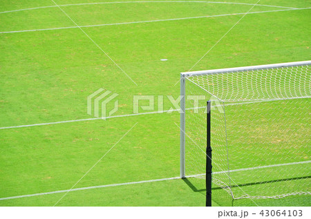 緑の天然芝が美しいサッカースタジアムの風景 緑の天然芝が美しいサッカースタジアムの風景 43064103