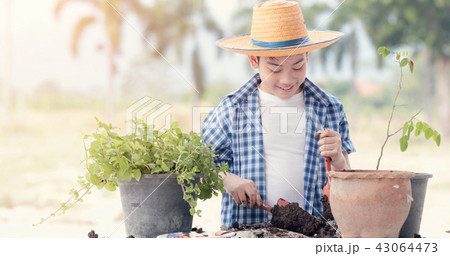 Asian boy prepare black soil to little plant on in the garden. 43064473