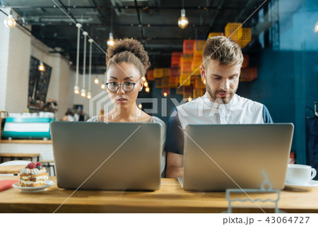 Two young freelancers working hard while sitting in cafe 43064727