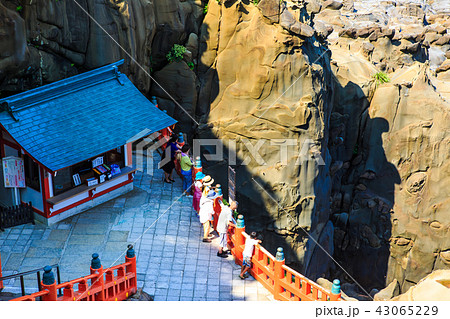 鵜戸神宮　鵜戸千畳敷奇岩　【宮崎県日南市】 43065229