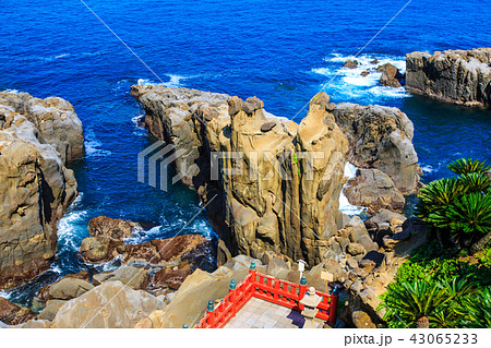 鵜戸神宮　鵜戸千畳敷奇岩　【宮崎県日南市】 43065233