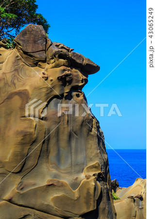 鵜戸神宮 鵜戸千畳敷奇岩 【宮崎県日南市】 鵜戸神宮 鵜戸千畳敷奇岩 【宮崎県日南市】 43065249