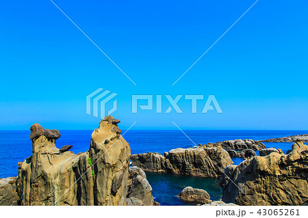 鵜戸神宮　鵜戸千畳敷奇岩　【宮崎県日南市】 43065261